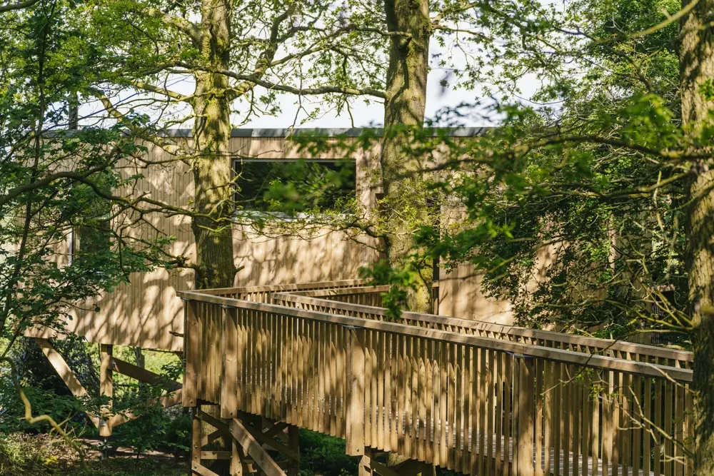 Closely spaced timber slats enclose the bridge approach.